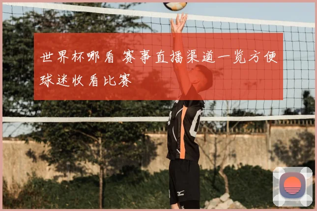 世界杯哪看 赛事直播渠道一览方便球迷收看比赛