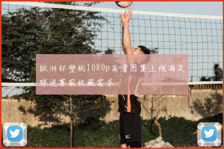 欧洲杯壁纸1080p高清图集上线满足球迷赛前收藏需求