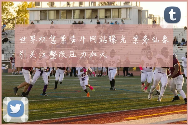 世界杯售票黄牛网站曝光 票务乱象引关注整改压力加大