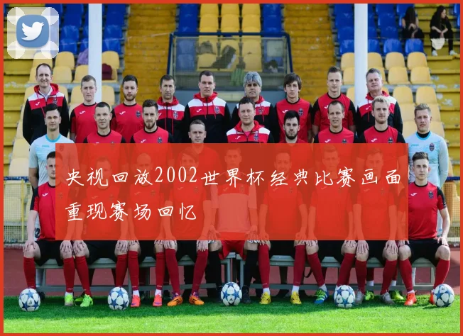 央视回放2002世界杯经典比赛画面重现赛场回忆